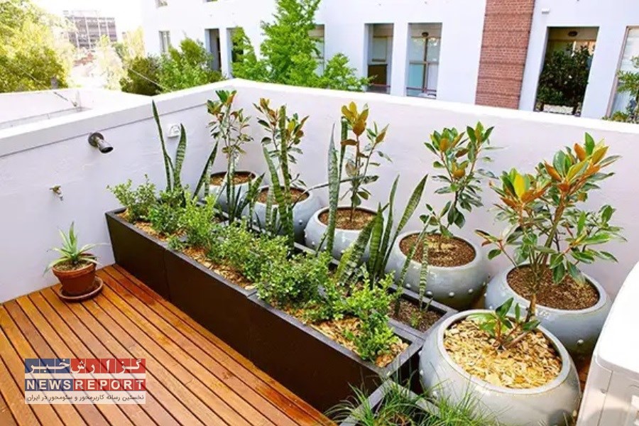 قوانین روف گاردن