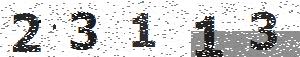 تصویر امنیتی